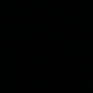 Meet your Posher, Janice